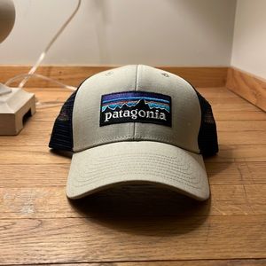 Patagonia trucker hat